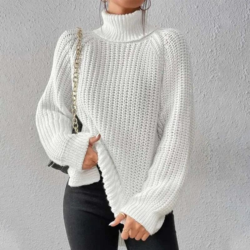 Women's Chunky Turtleneck Knit Sweater