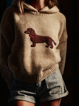 Women's Embroidered Hooded Knit Sweater
